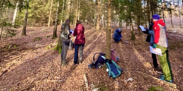 Grupa osób pośród drzew podczas kąpieli leśnej shinrin yoku (c) Łukasz Derkacz