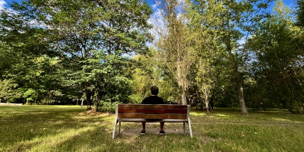 Osoba siedząca na ławeczce naprzeciwko drzewa (c) Łukasz Derkacz