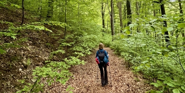 Las późnym latem w górach (c) Łukasz Derkacz