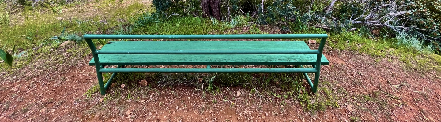 Ławeczka stojąca na wprost drzewa (c) Łukasz Derkacz