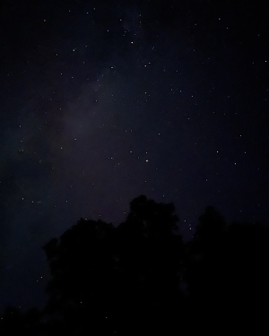 Zdjęcie drogi mlecznej na tle drzew (c) Łukasz Derkacz