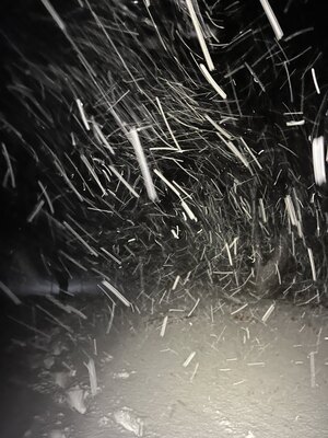 Zamieć śnieżna (c) Łukasz Derkacz