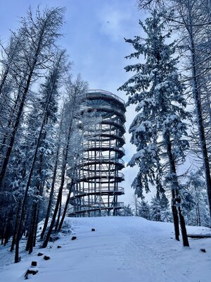 Wieża widokowa na Dzikowcu (c) Łukasz Derkacz