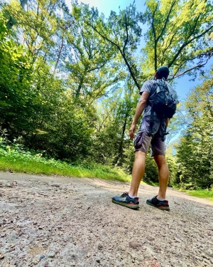 Lasami stojący na dukcie w lesie (c) Łukasz Derkacz