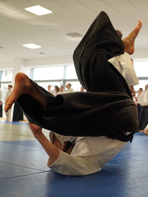 Osoba w stroju do japońskiej sztuki walki robiąca przewrót (c) Bartłomiej Chrzanowski