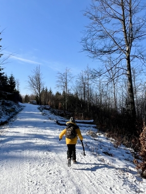 Shoshin - umysł początkującego