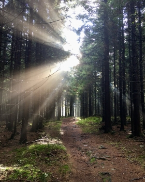 Zjawisko śreżogi (c) Łukasz Derkacz