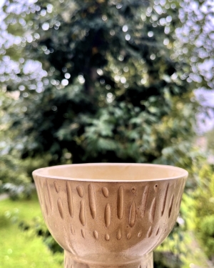 Czarka do japońskiej ceremonii herbaty na tle drzewa (c) Łukasz Derkacz