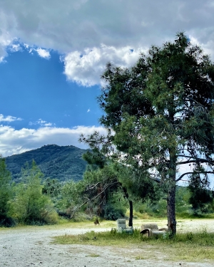Fotel i kanapa pod drzewem, w tle góra (c) Łukasz Derkacz