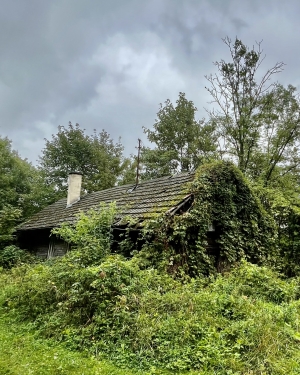 Stara chałupa zarośnieta roślinnością (c) Łukasz Derkacz