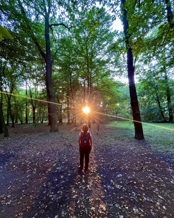 Osoba stojąca między drzewami w świetle promieni zachodzącego słońca