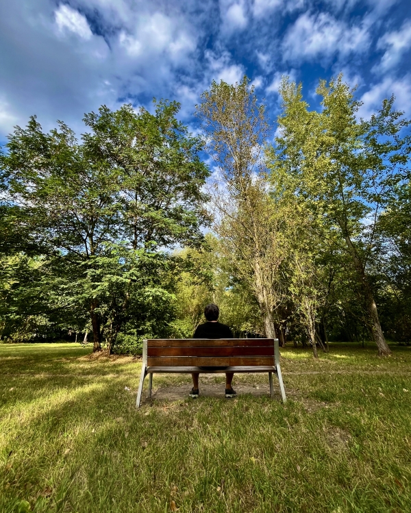 Osoba siedząca na ławeczce stojąca naprzeciwko rozłożystego drzewa (c) Łukasz Derkacz