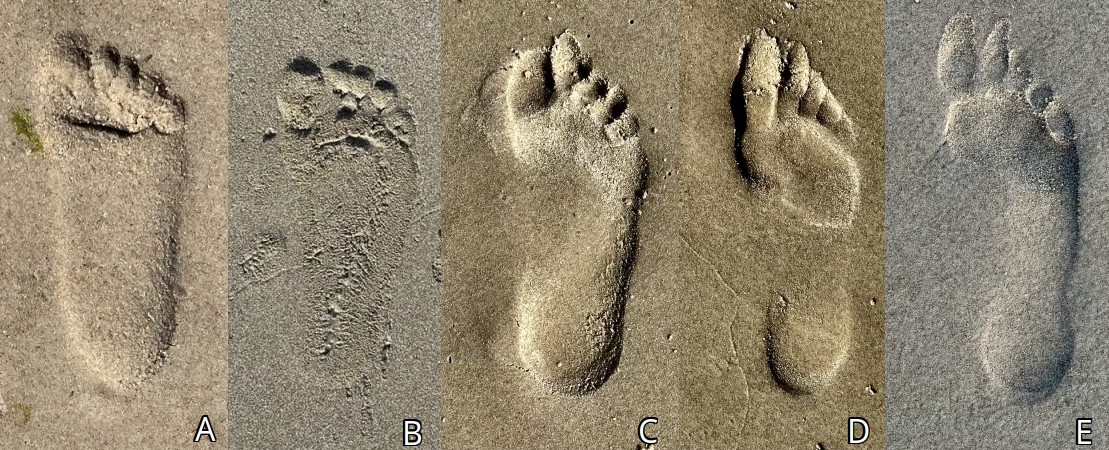 Odciski stóp na piasku (c) Łukasz Derkacz